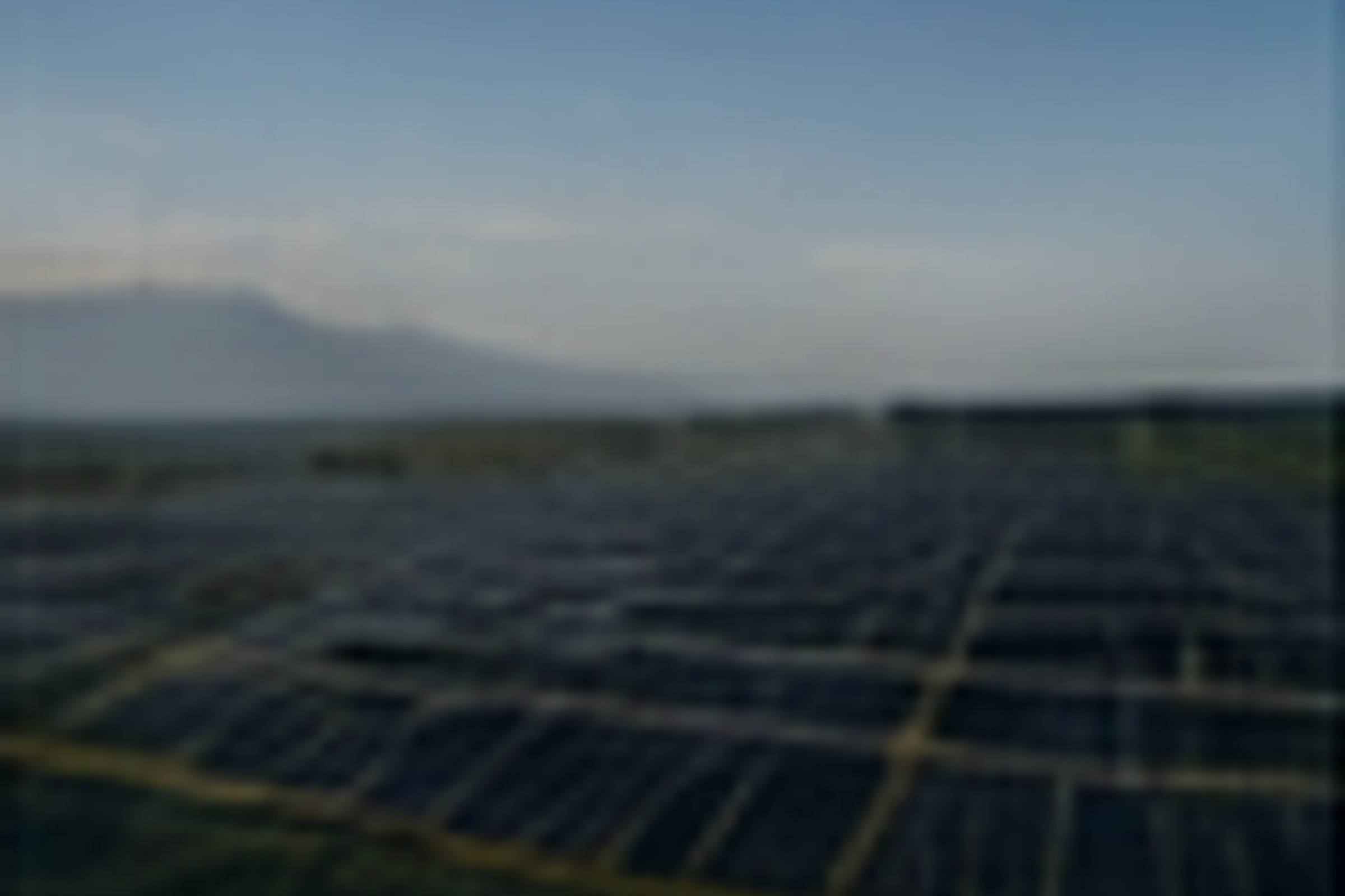 Utility-scale solar rows across a broad project site