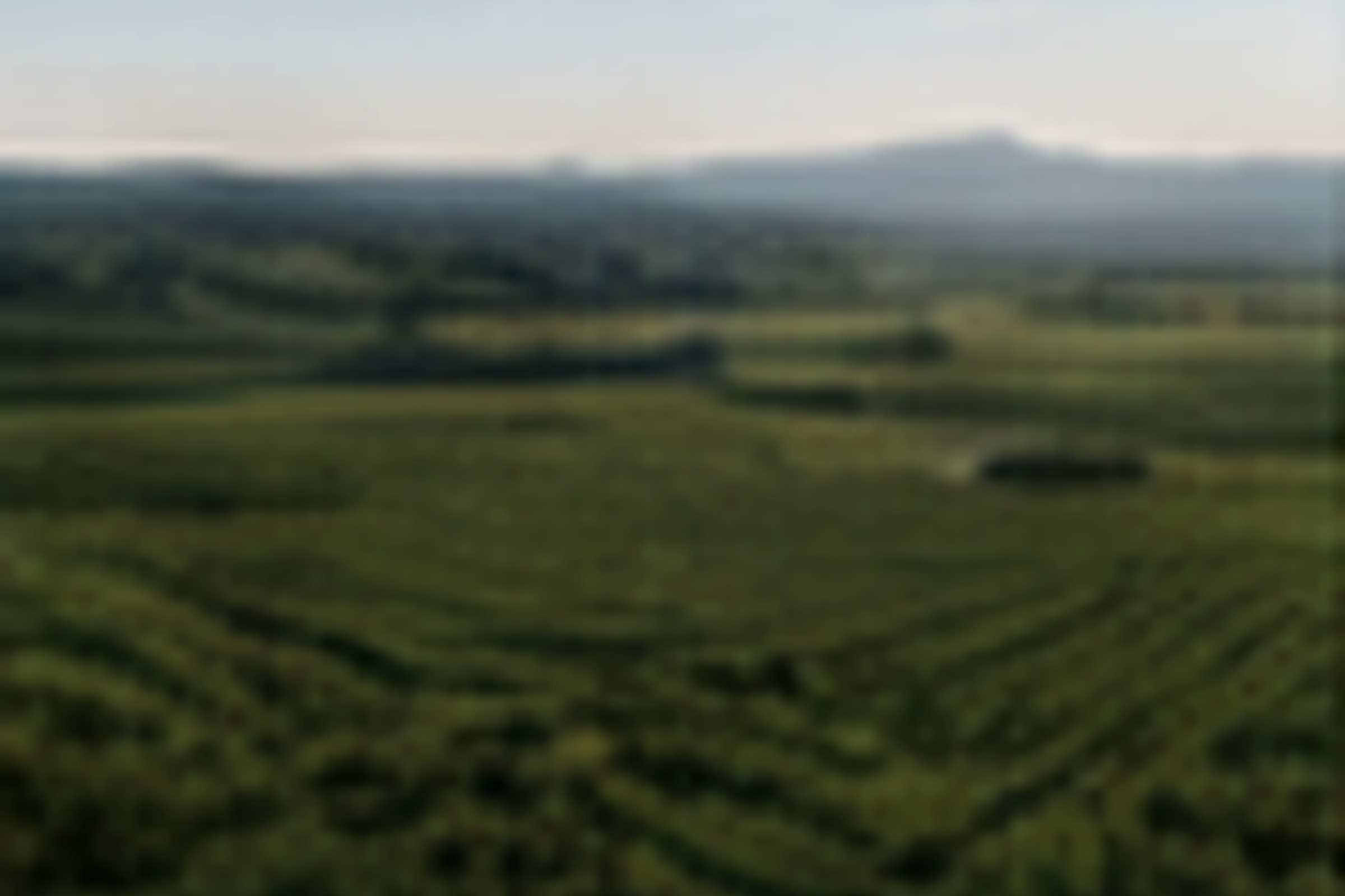 Solar installation serving agricultural land and facilities